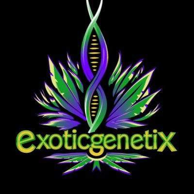 Exotic Genetics