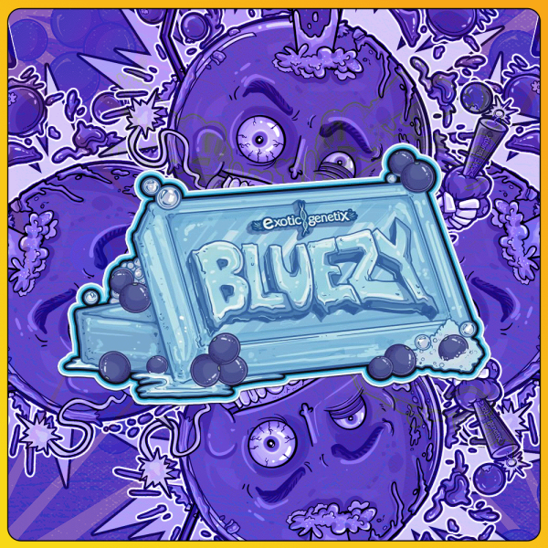 Bluezy by Exotic Genetix