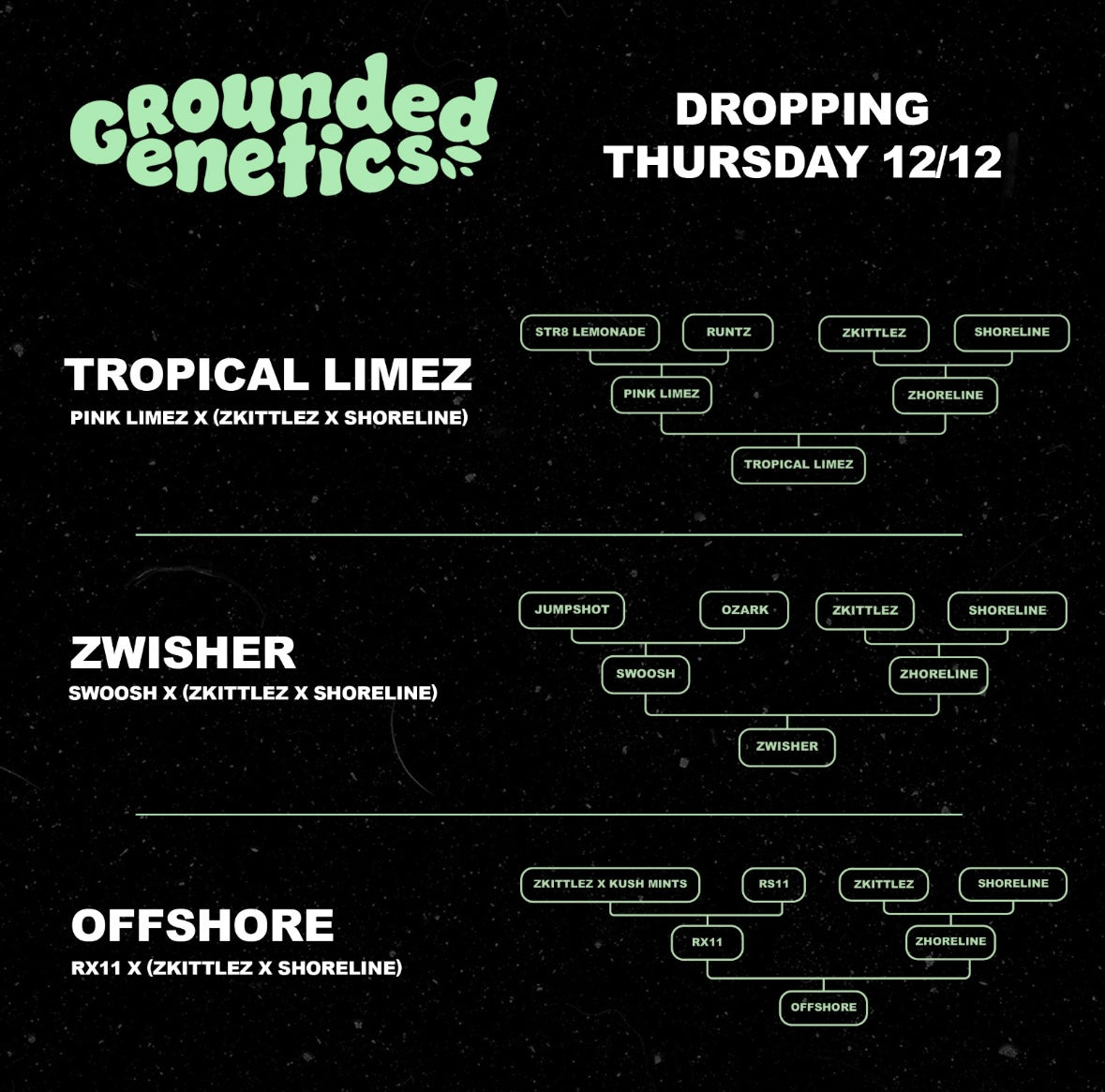 Grounded Genetics - Tropical Limez