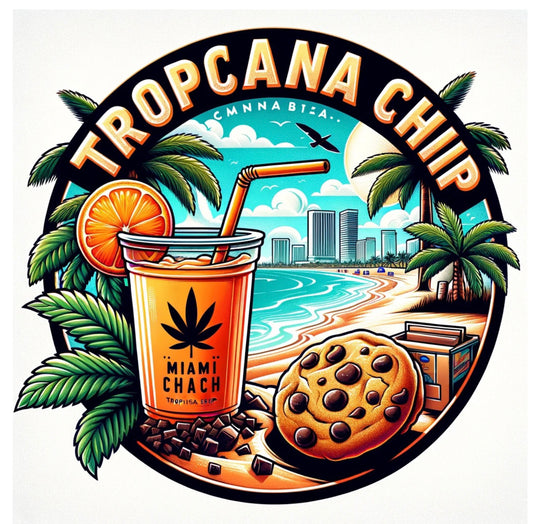 Tropicana Chip - Goodlife Seeds