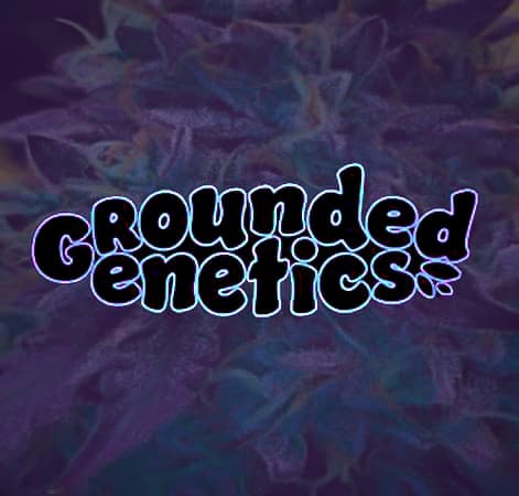 Grounded Genetics - Nose Candy (Limited Edition)