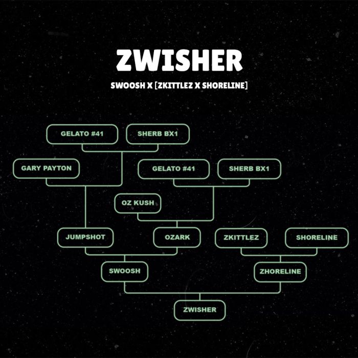 Grounded Genetics - Zwisher